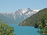 dsc_2017.jpg