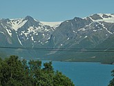 dsc_2019.jpg
