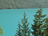 dsc_2020.jpg