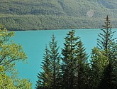 dsc_2021.jpg