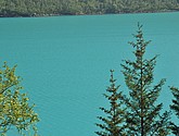 dsc_2022.jpg