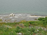 dsc_2037.jpg
