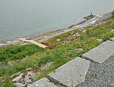 dsc_2038.jpg