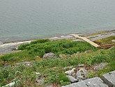 dsc_2039.jpg