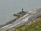 dsc_2040.jpg