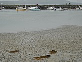 dsc_2054.jpg