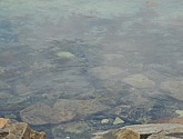 dsc_2063.jpg
