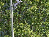 dsc_2094.jpg