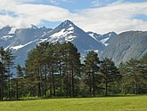 dsc_2102.jpg