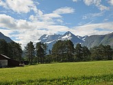 dsc_2103.jpg