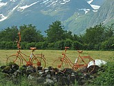 dsc_2105.jpg