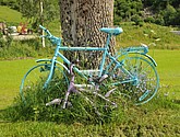 dsc_2107.jpg