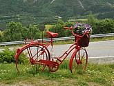 dsc_2126.jpg
