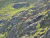dsc_2163.jpg