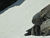 dsc_2166.jpg
