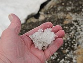 dsc_2186.jpg