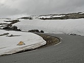 dsc_2193.jpg