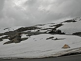 dsc_2194.jpg