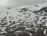 dsc_2200.jpg
