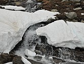 dsc_2205.jpg