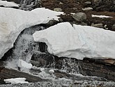 dsc_2207.jpg