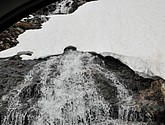 dsc_2208.jpg