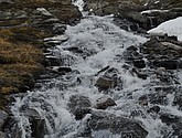 dsc_2211.jpg