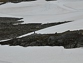 dsc_2257.jpg