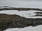 dsc_2258.jpg