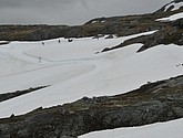 dsc_2259.jpg
