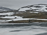 dsc_2261.jpg