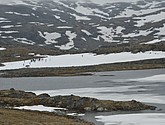 dsc_2263.jpg