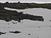 dsc_2265.jpg