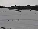 dsc_2266.jpg
