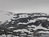 dsc_2272.jpg