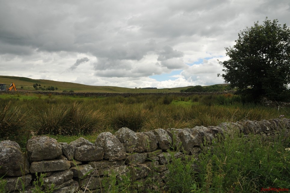dsc_9509.jpg