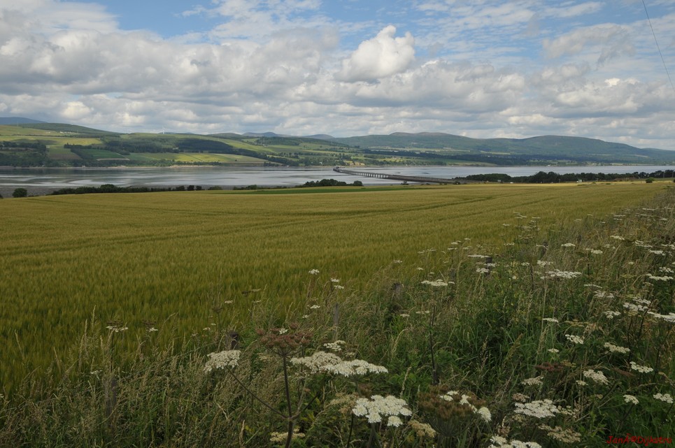 dsc_9524.jpg