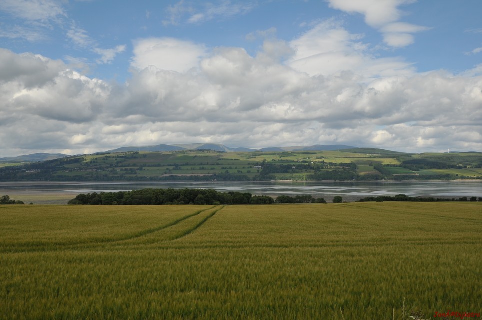 dsc_9526.jpg