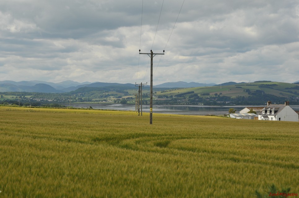 dsc_9529.jpg
