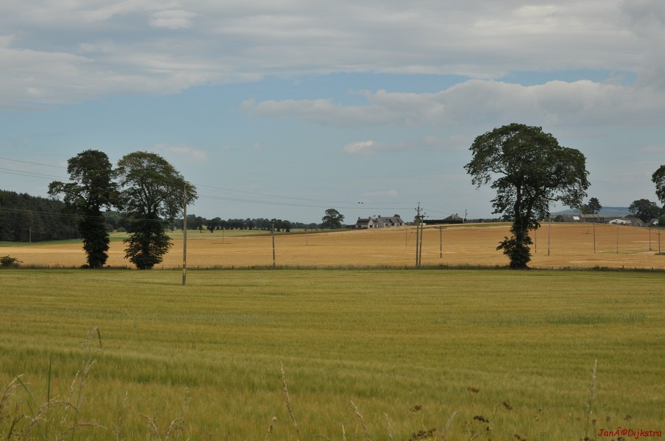 dsc_9534.jpg