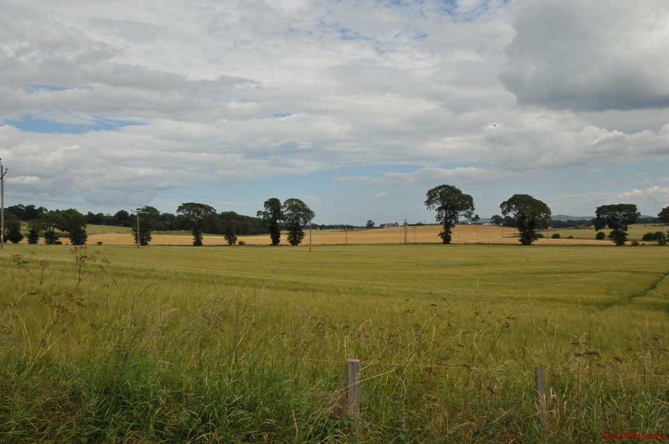 dsc_9535.jpg