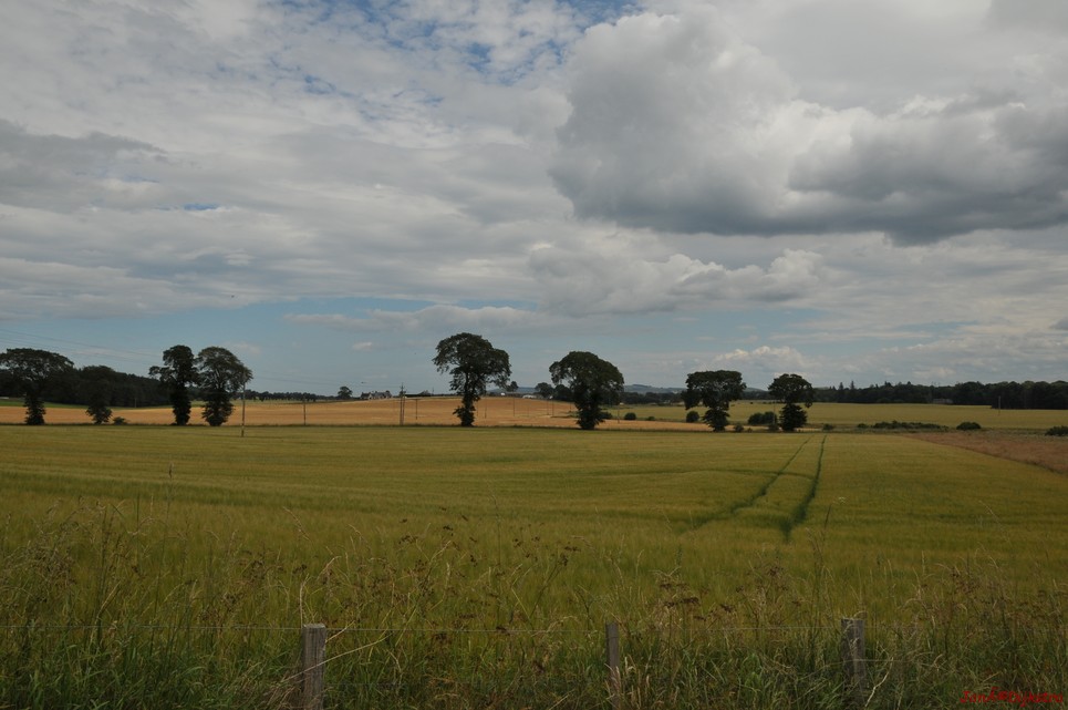 dsc_9536.jpg