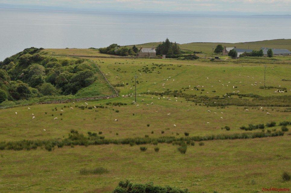 dsc_9539.jpg