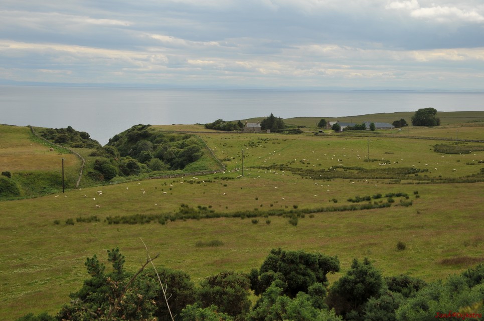 dsc_9540.jpg