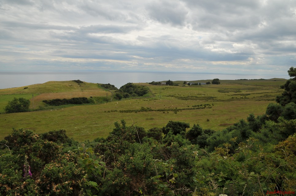 dsc_9541.jpg