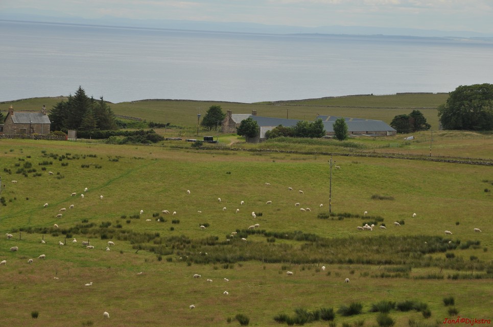 dsc_9542.jpg