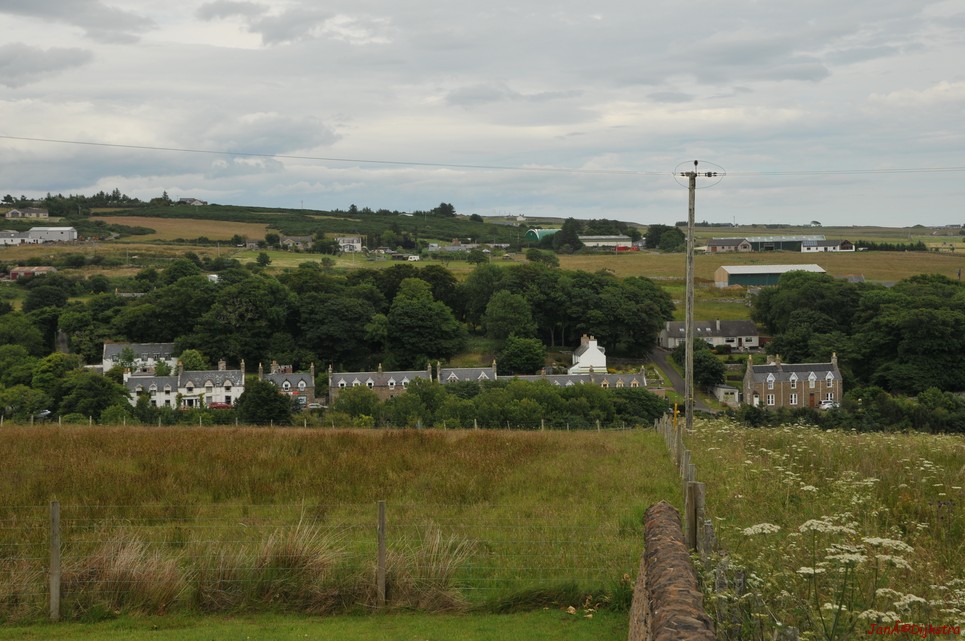 dsc_9546.jpg