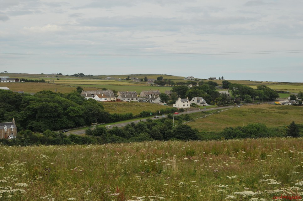 dsc_9548.jpg