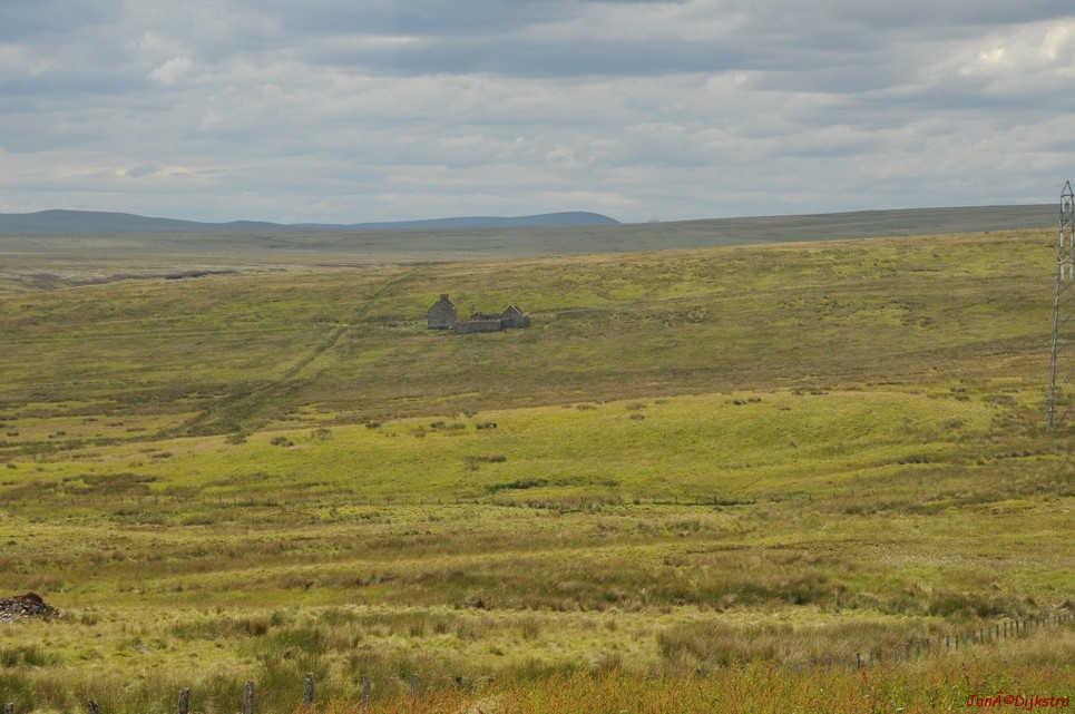 dsc_9558.jpg