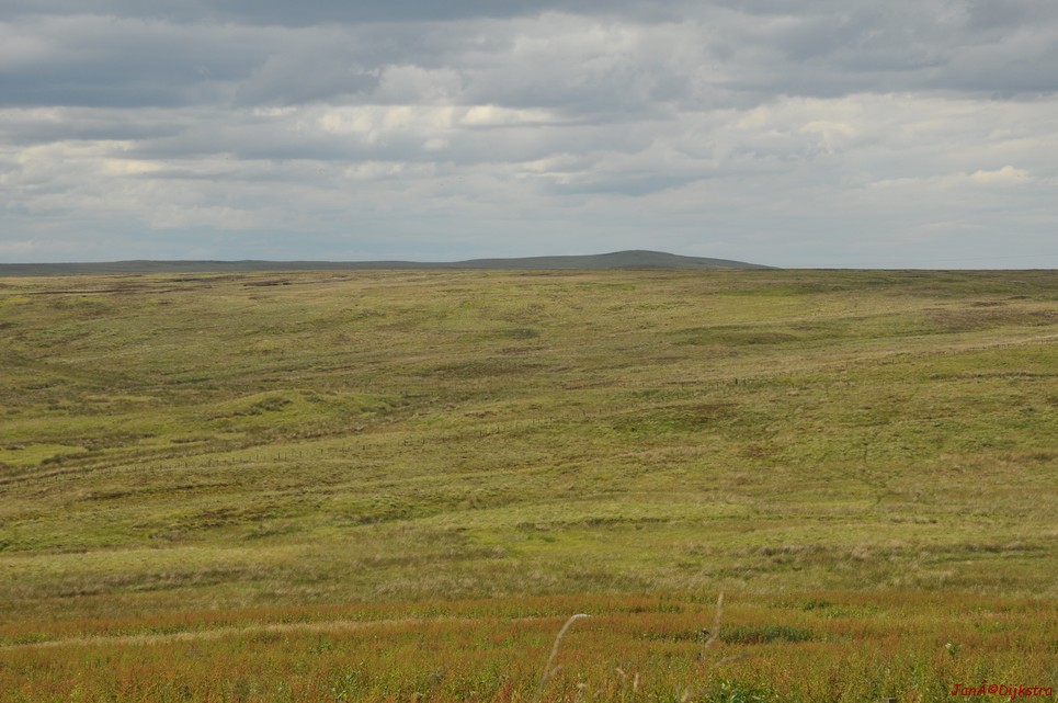dsc_9559.jpg
